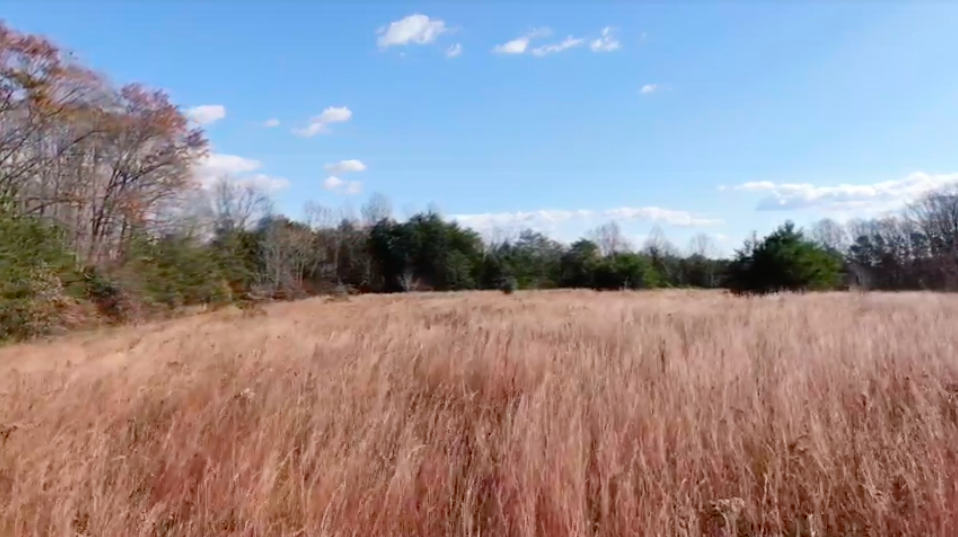 View of Piedmont Prairie