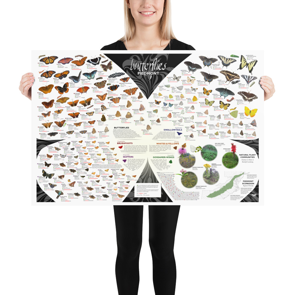enhanced-matte-paper-poster-in-24x36-person-60c765b51cc73.jpg